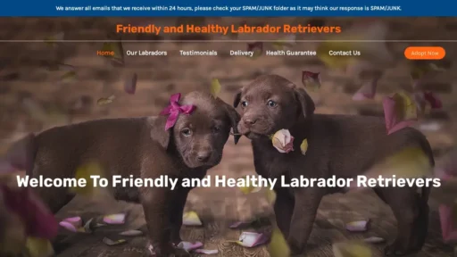 Scam Website Screenshot Friendlyandhealthylabradorretriever.com