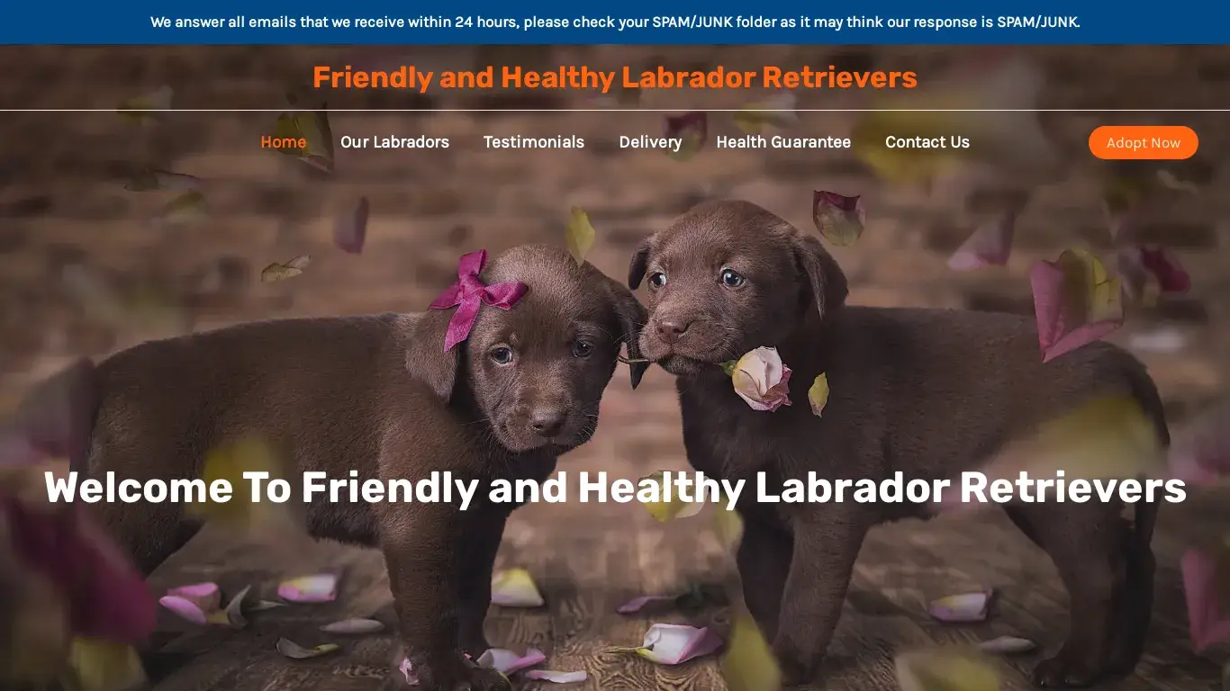 is Friendly and Healthy Labrador Retrievers – Purebred Labrador Retrievers For Sale legit? screenshot