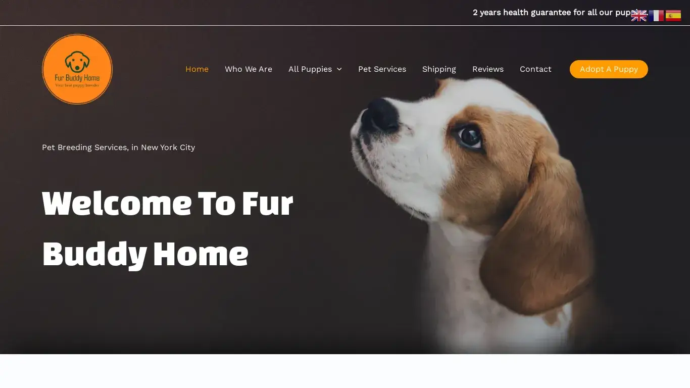 is FUR BUDDY HOME – Your best puppy breeder in the United States legit? screenshot