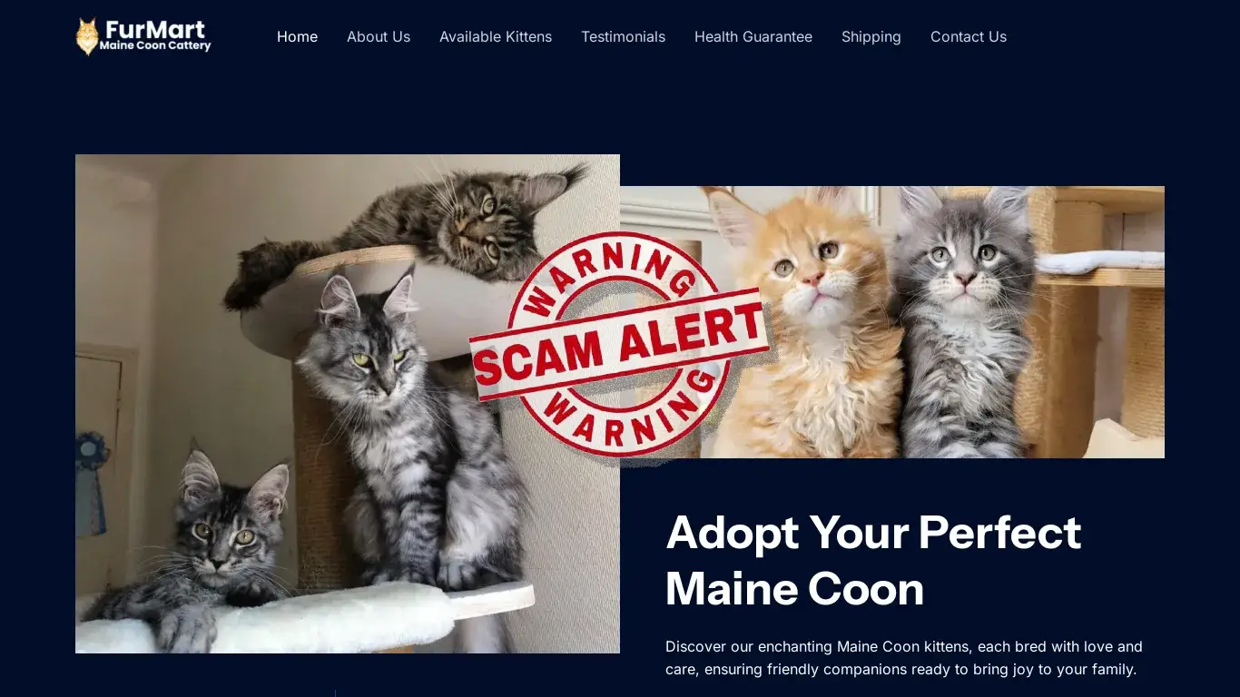 is FurMart Maine Coon Cattery – Maine Coon Cattery legit? screenshot