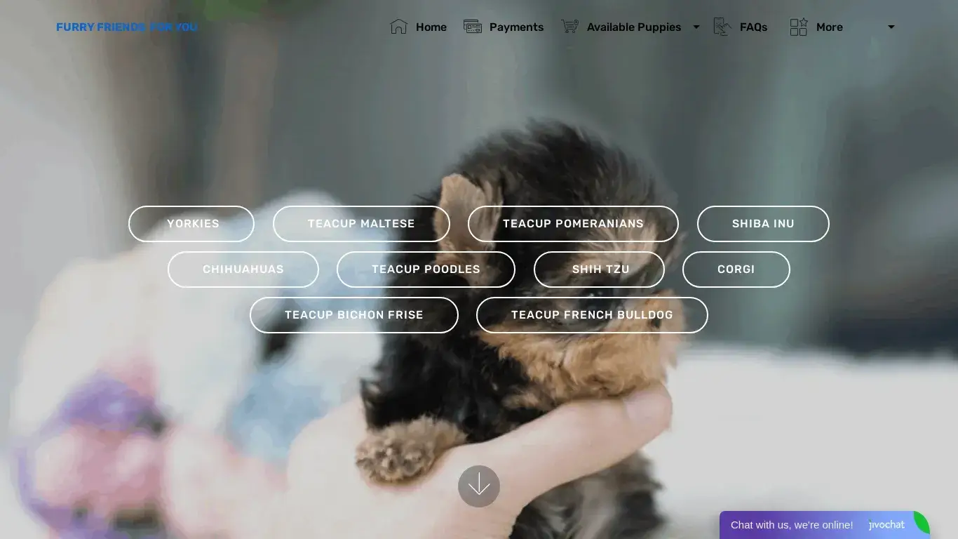 is furryfriendsforyou.com legit? screenshot