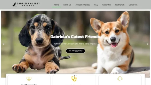 Scam Website Screenshot Gabrielascuttestfriends.com