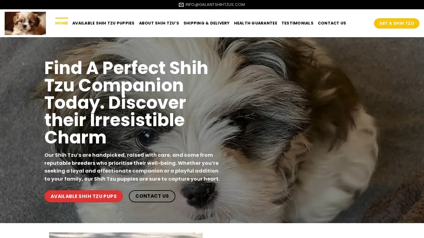 is Galant Shih Tzus – Shih Tzu Puppies For Sale legit? screenshot