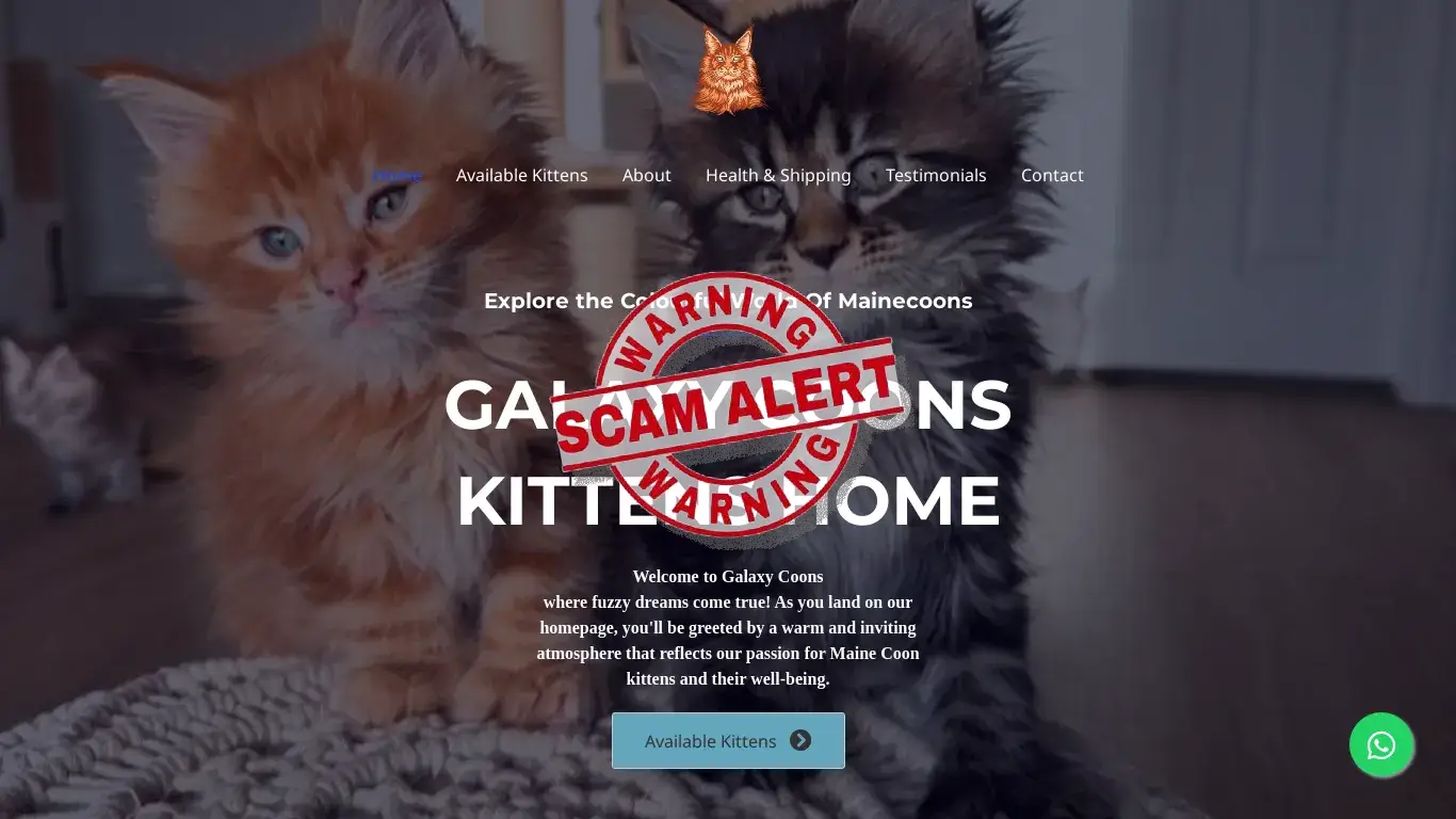 is Galaxy Coons – Cute Mainecoon Kittens For Sale legit? screenshot