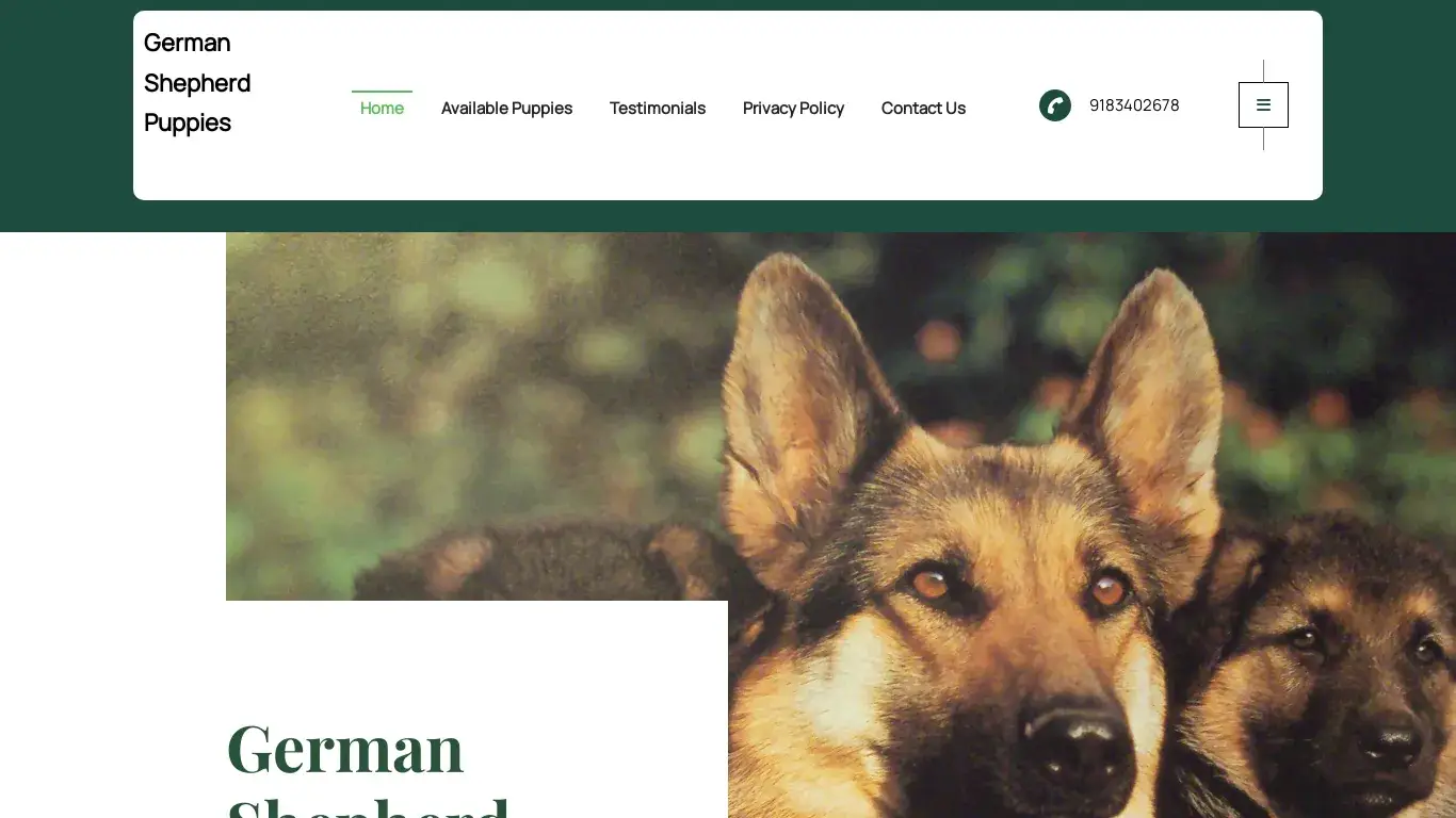 is German Shepherd Puppies – German Shepherd Puppies For Sale legit? screenshot