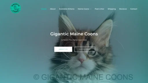 Scam Website Screenshot Giganticcoons.com