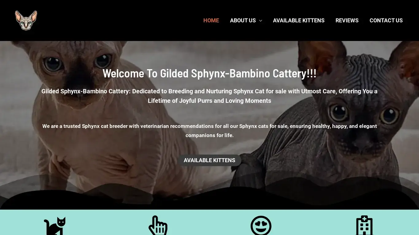 is Gilded Sphynx-Bambino Cattery – Sphynx Kitten For Sale-Sphynx Breeder legit? screenshot