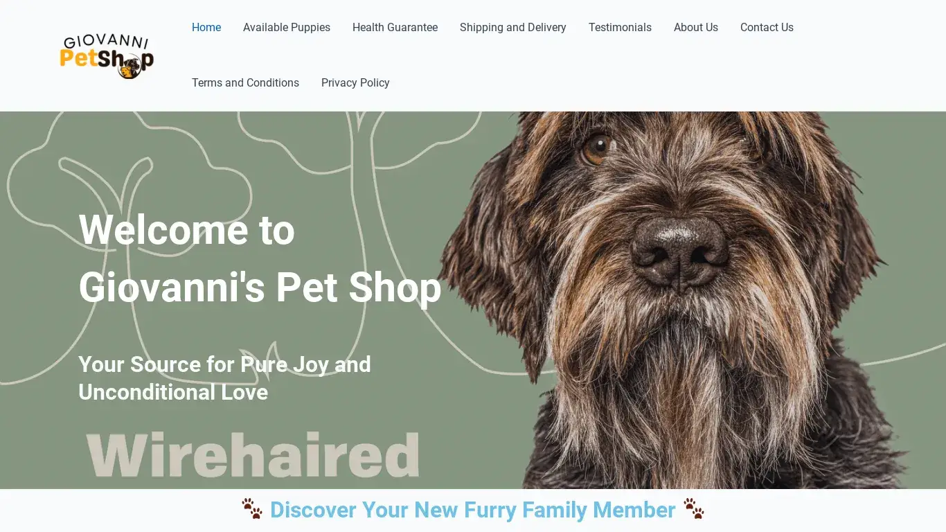 is Giovanni's Pet Shop – Buy a Wirehaired Pointing Griffon puppy legit? screenshot