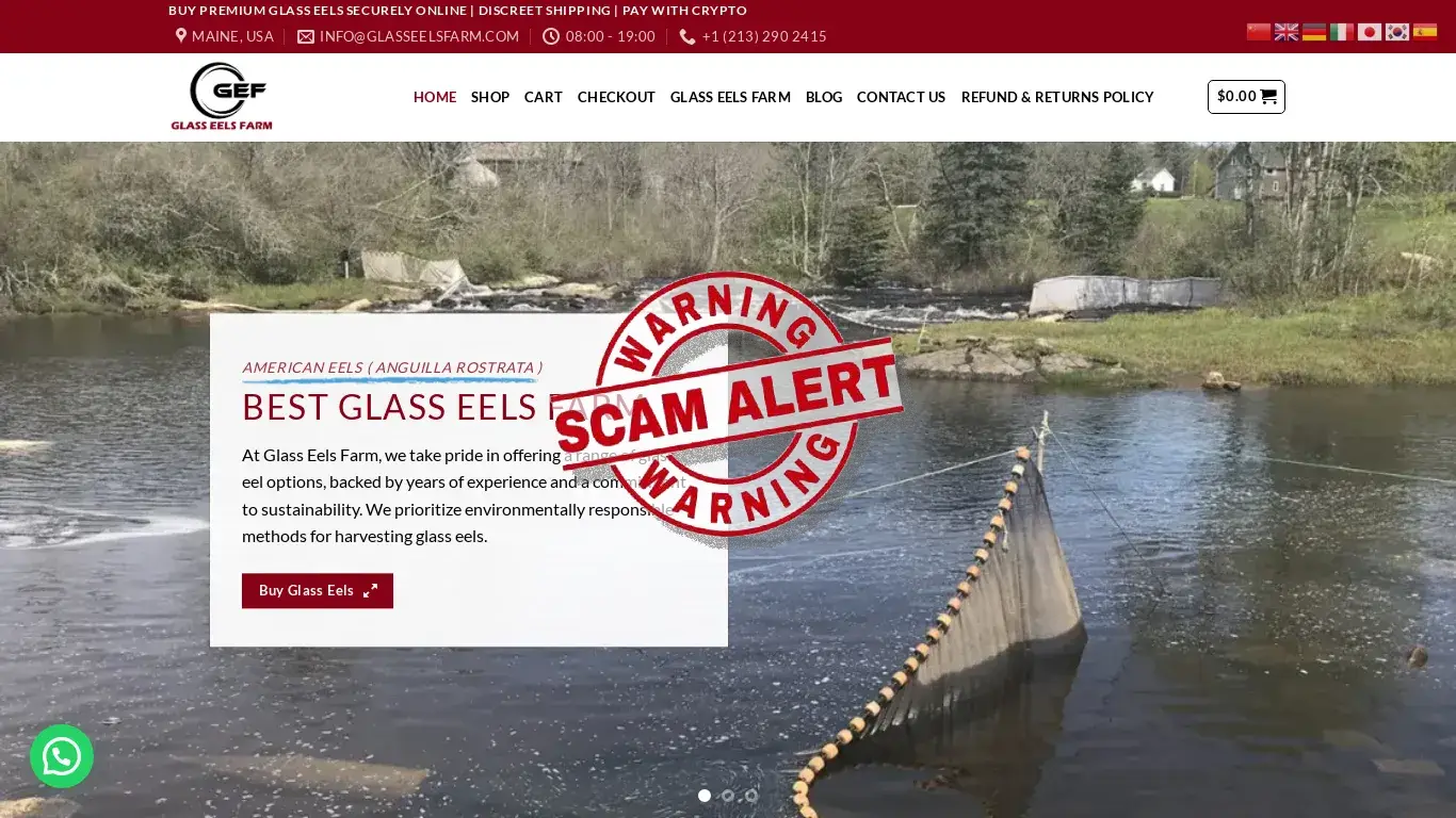 is Quality Glass Eel for sale in USA - Premium Glass Eels Farm legit? screenshot