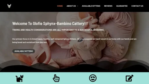 Scam Website Screenshot Glofiesphynx-bambinocattery.com