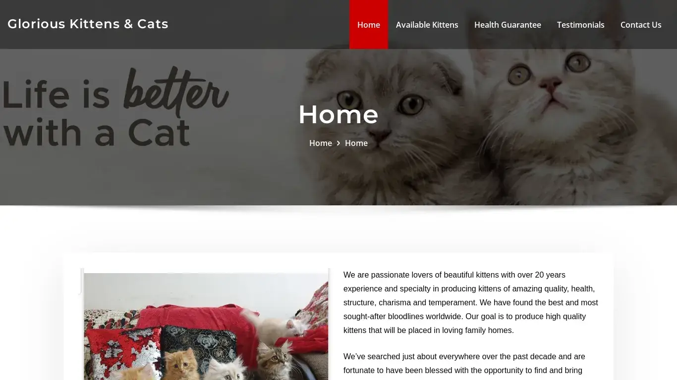 is Glorious Kittens & Cats legit? screenshot
