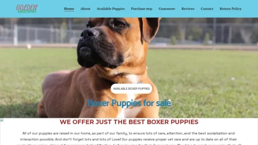 Scam Website Screenshot Goldenboxerpuppies.com
