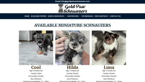 Scam Website Screenshot Goldpawschnauzers.com