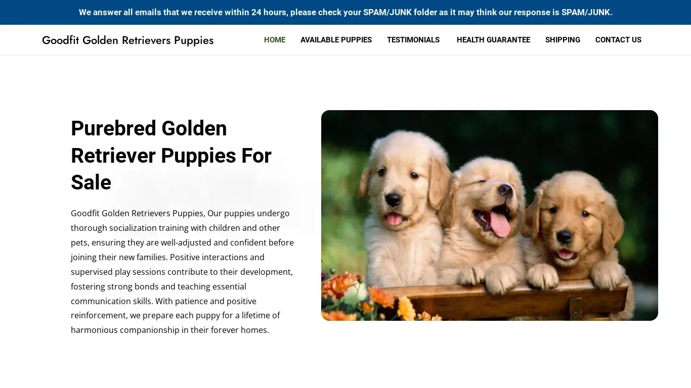 is Goodfit Golden Retrievers Puppies – Purebred Golden Retriever Puppies For Sale legit? screenshot