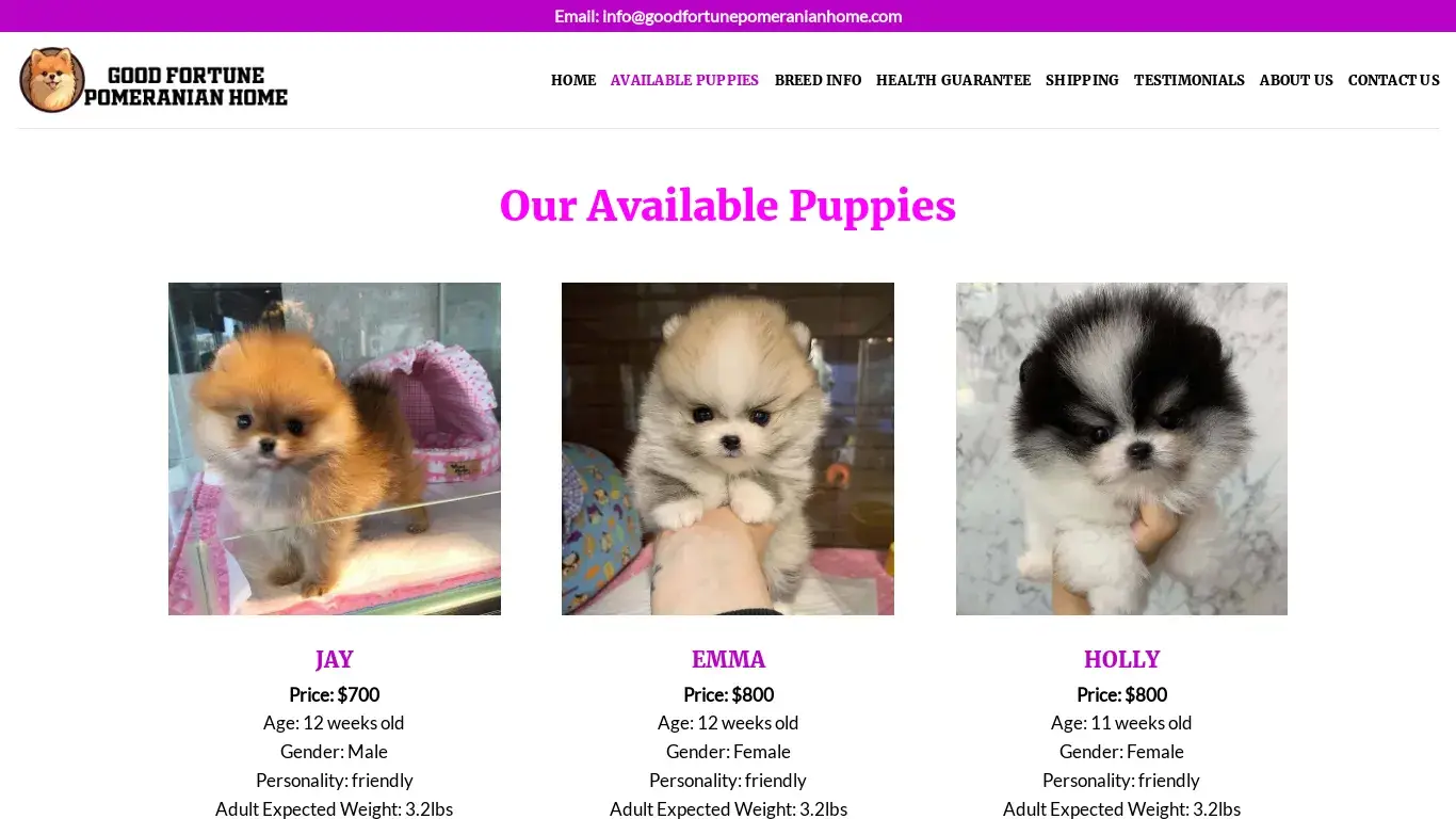 is Good Fortune Pomeranian Home – Amazing Pomeranian Puppies for sale legit? screenshot