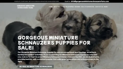 Scam Website Screenshot Gorgeousminiatureschnauzersfarm.com