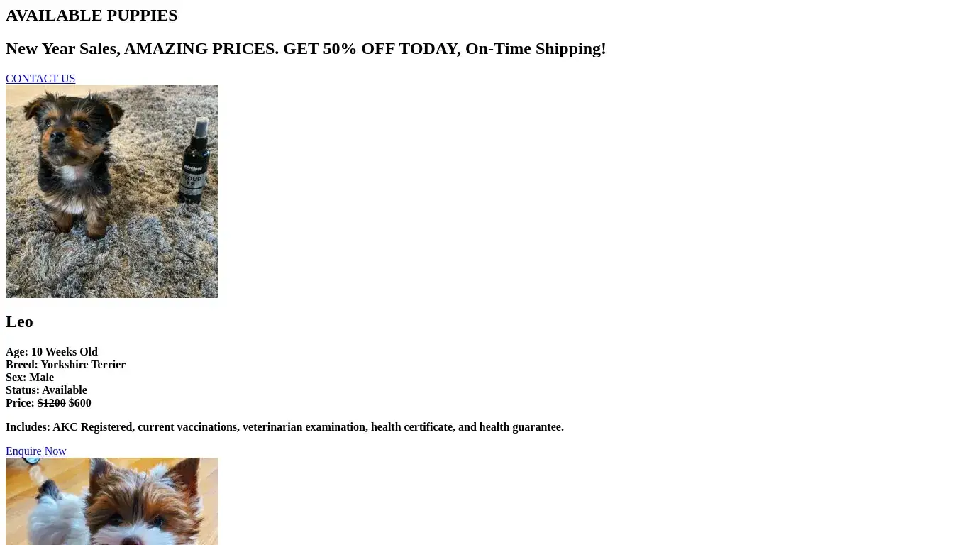 is Adorable Yorkie Puppies to Fill Your Home with Love Today! legit? screenshot