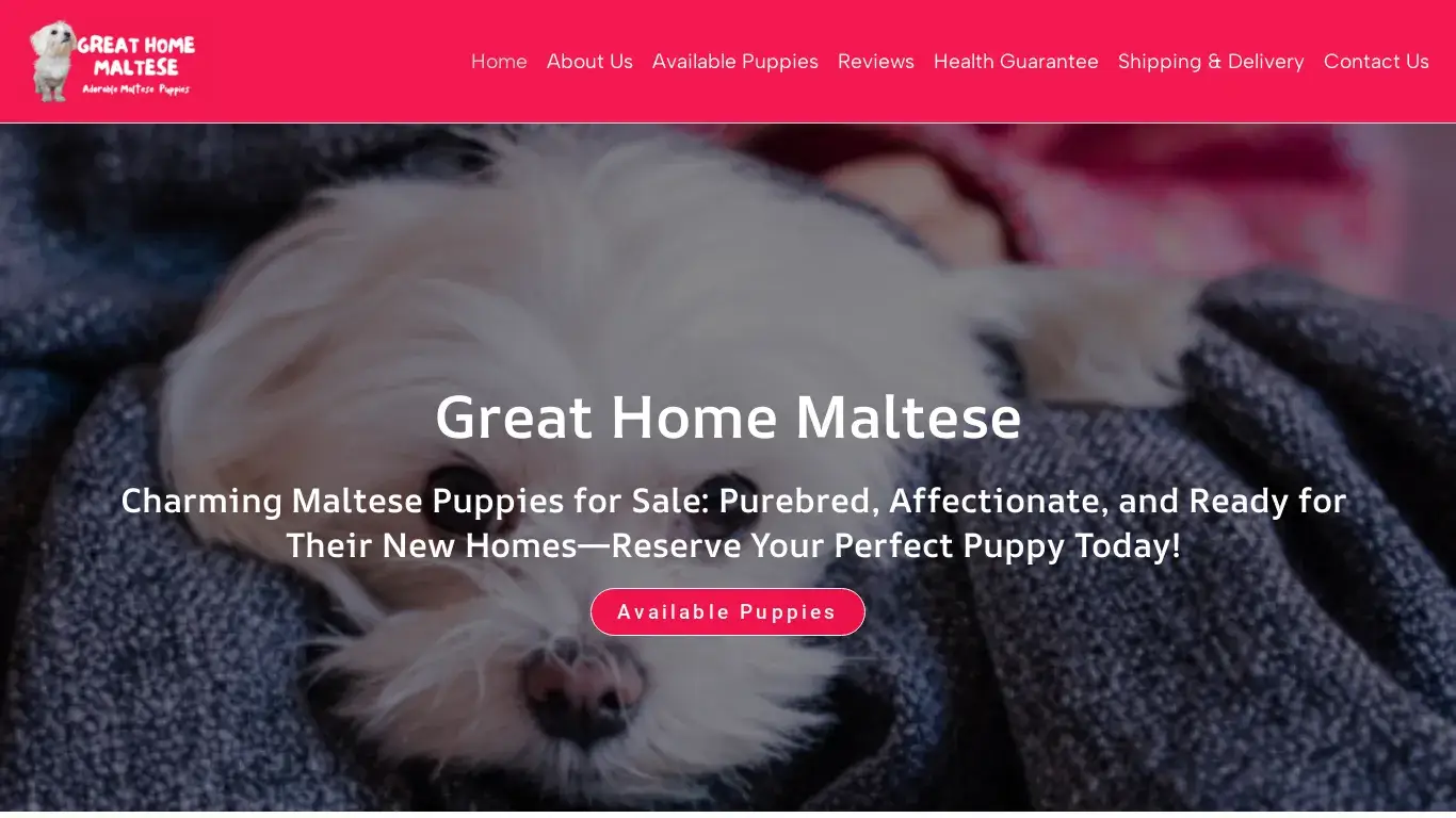is Maltese Puppies For Sale legit? screenshot