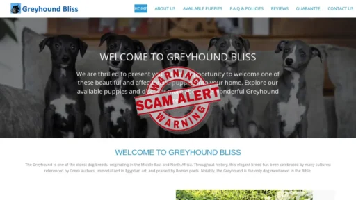 Scam Website Screenshot Greyhoundbliss.com