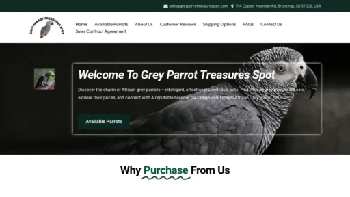 Scam Website Screenshot Greyparrottreasuresspot.com