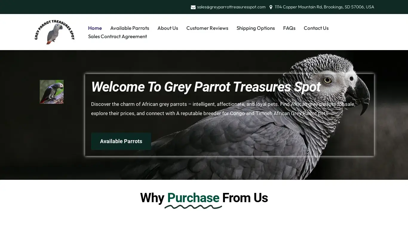 is Grey Parrot Treasures Spot – African Grey For Sale legit? screenshot