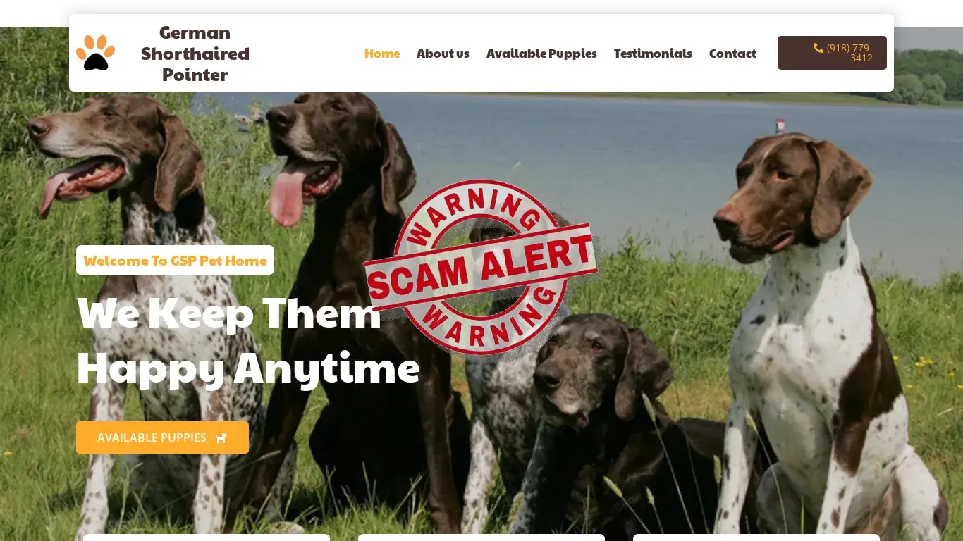 is German Shorthaired Pointer – GSP Puppies For Sale legit? screenshot