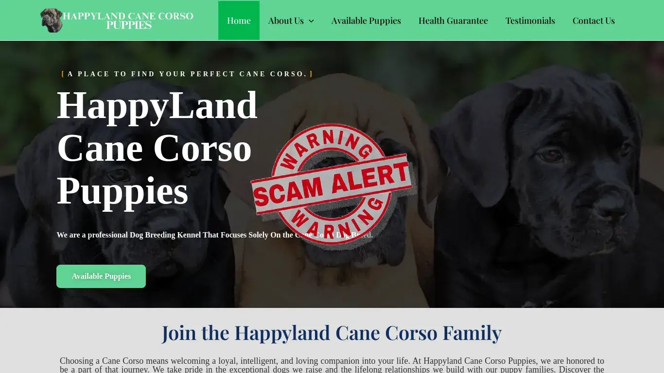 is happylandcanecorsopuppies.com legit? screenshot