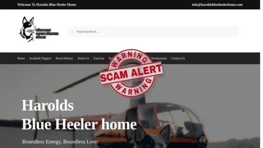 Scam Website Screenshot Haroldsblueheelerhome.com