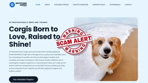 Scam Website Screenshot Haystackacrescorgis.com
