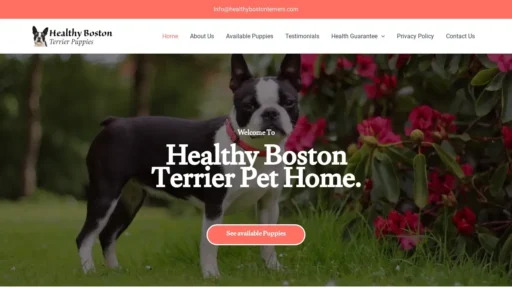 Scam Website Screenshot Healthybostonterriers.com