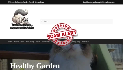 Scam Website Screenshot Healthygardanragdollkittenshome.com