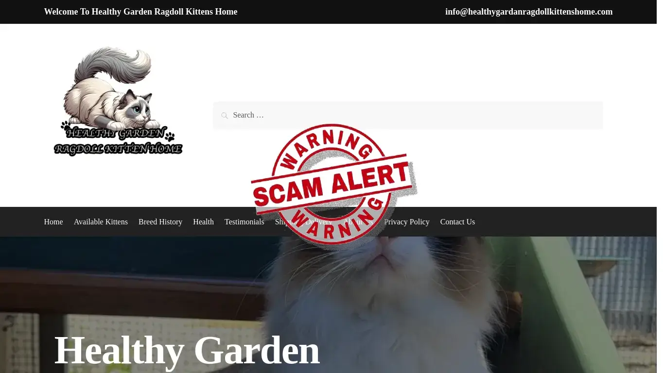 is Healthy Garden Ragdoll Kittens Home – Witness the breathtaking beauty of our Ragdoll kittens legit? screenshot