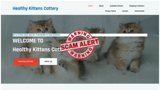 Scam Website Screenshot Healthykittens.shop