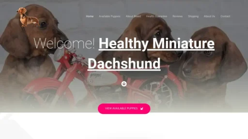 Scam Website Screenshot Healthyminiaturedachshunds.com