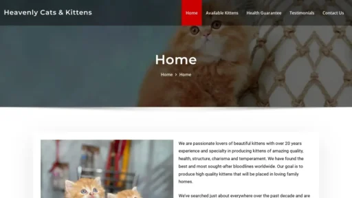 Scam Website Screenshot Heavenlycatsnkittens.co.za