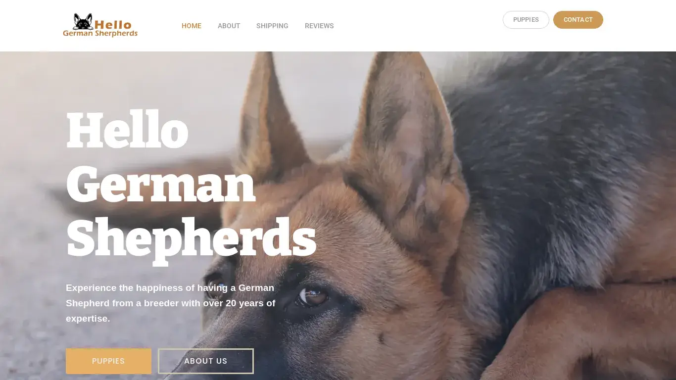 is Buy German Shepherds | German Shepherd Puppies Sale legit? screenshot