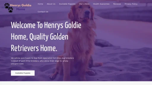 Scam Website Screenshot Henrysgoldiehome.com