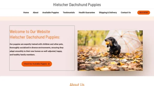 Scam Website Screenshot Hielscherdachshundpuppies.com