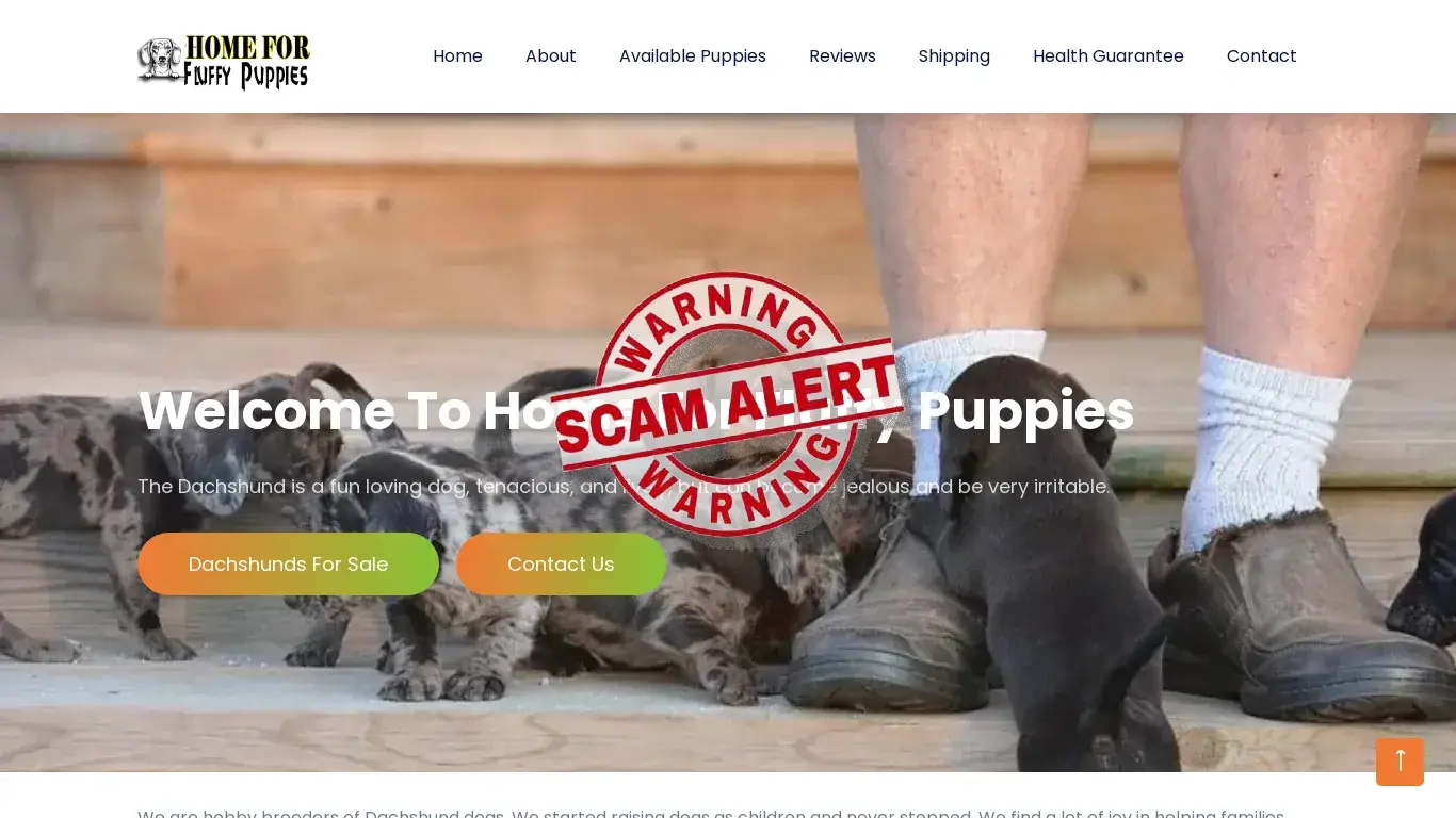 is Home | Home For Fluffy Puppies legit? screenshot