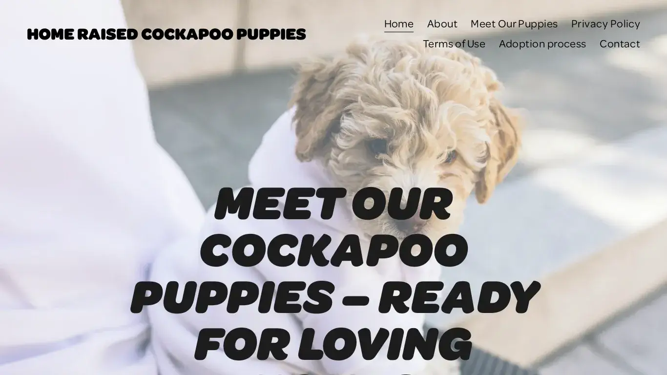is Home Raised Cockapoo puppies legit? screenshot