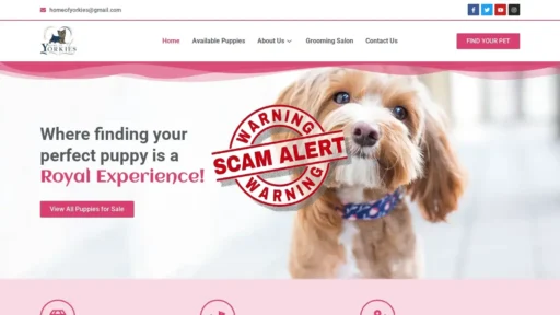 Scam Website Screenshot Homeyorkies.online