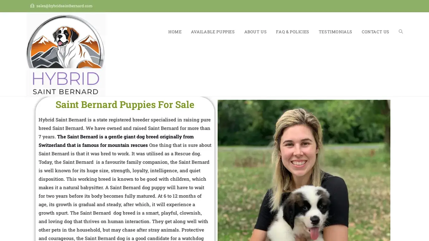 is Hybrid Saint Bernard – Licensed Saint Bernard Breeders legit? screenshot