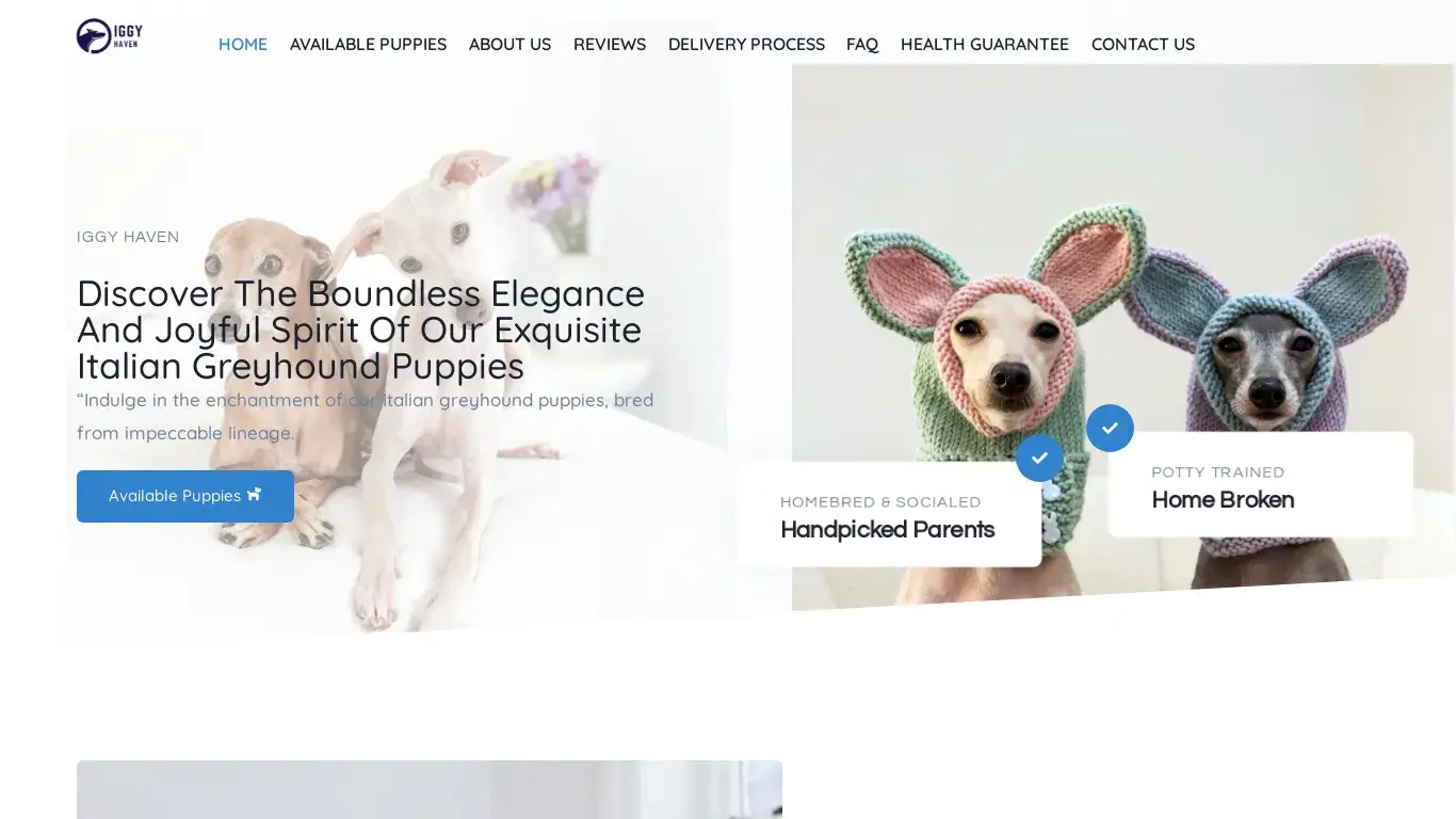 is Iggy Haven – Iggy Haven legit? screenshot