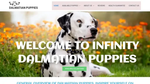 Scam Website Screenshot Infinitydalmatianpuppies.com