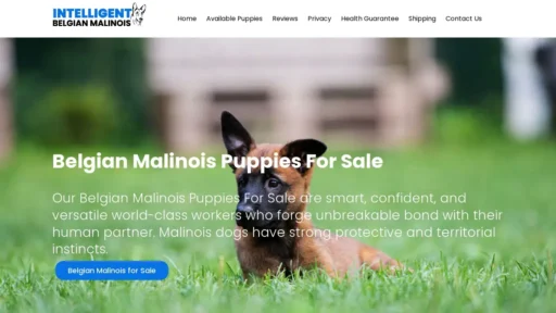 Scam Website Screenshot Intelligentbelgianmalinois.com