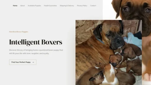 Scam Website Screenshot Intelligentboxers.com