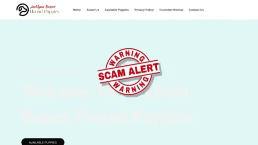 Scam Website Screenshot Jacklynnbassethoundpuppies.com
