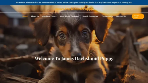 Scam Website Screenshot Jamesdachshundpuppy.com
