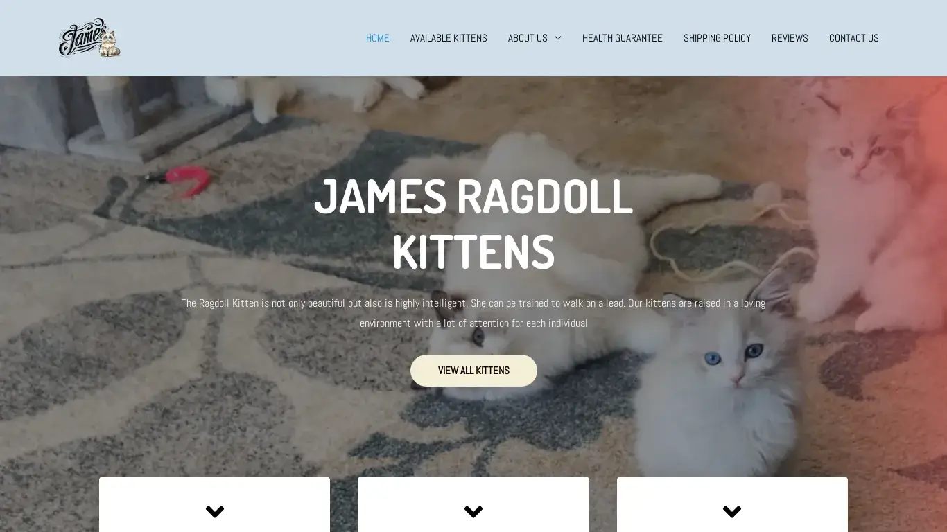 is JAMES RAGDOLL KITTENS – Discover our exquisite Ragdoll kittens for sale, ready for purchase in the USA … Don’t miss the chance to bring home a ragdoll kitten or cat. legit? screenshot