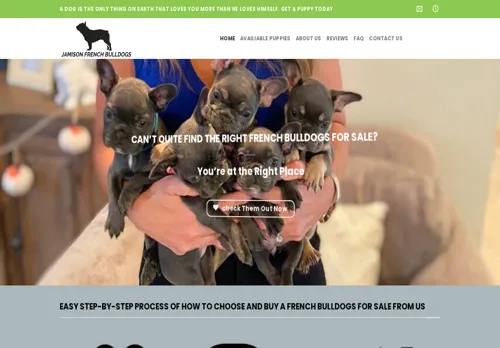 is jamisonfrenchbulldogs.com legit? screenshot